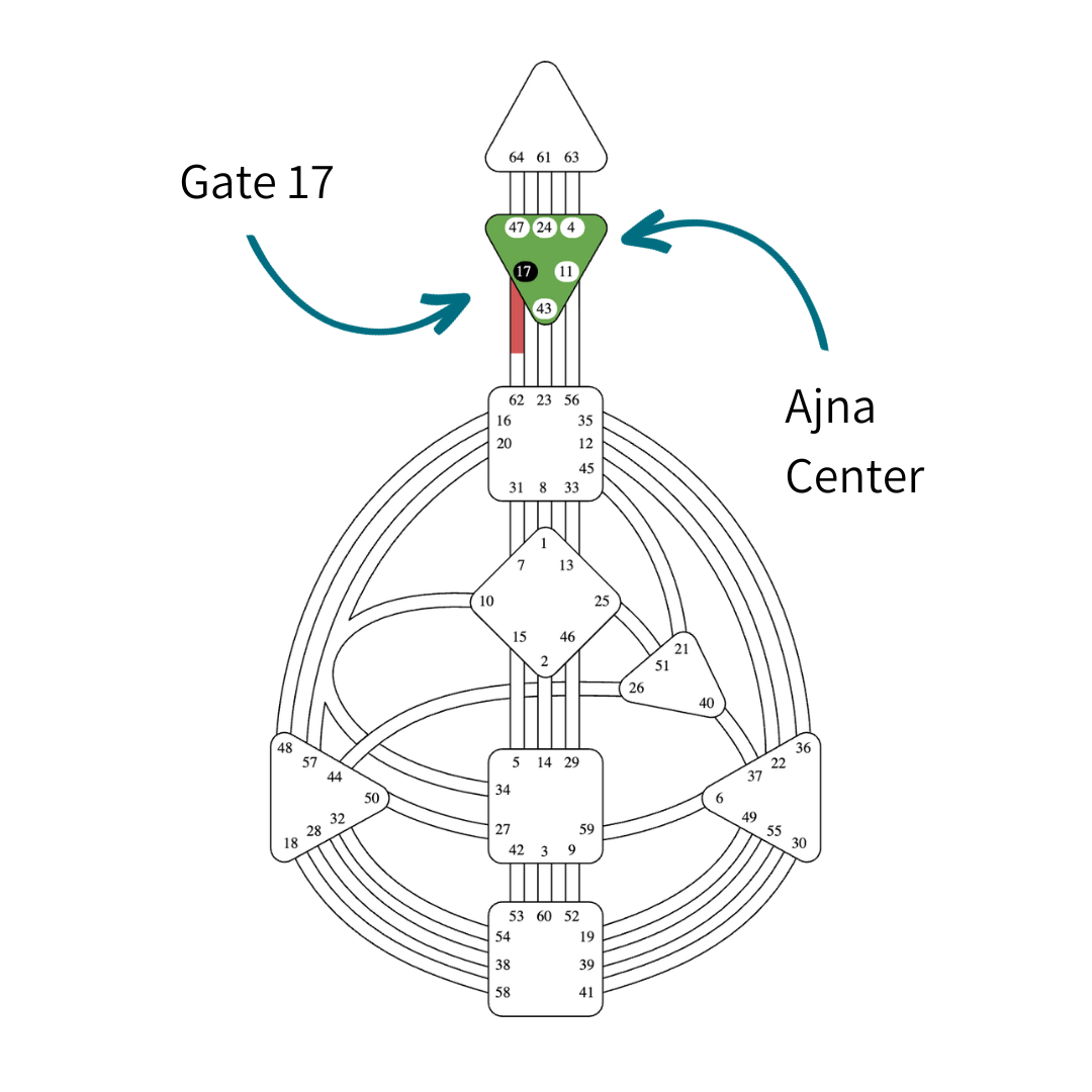 Human Design Gate 17 Gene Key 17 Opinions Vickie Dickson