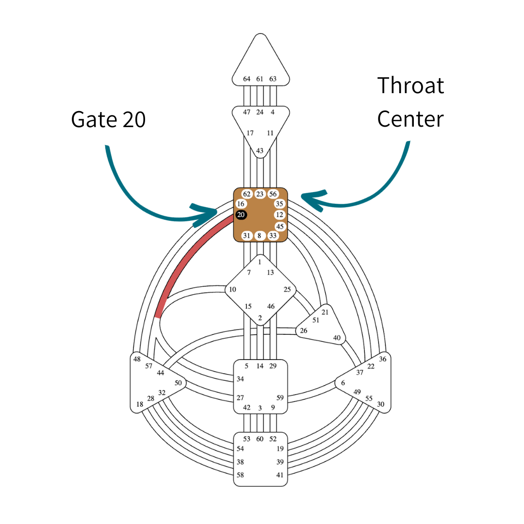 Human Design Gate 20 Gene Key 20 Presence Vickie Dickson