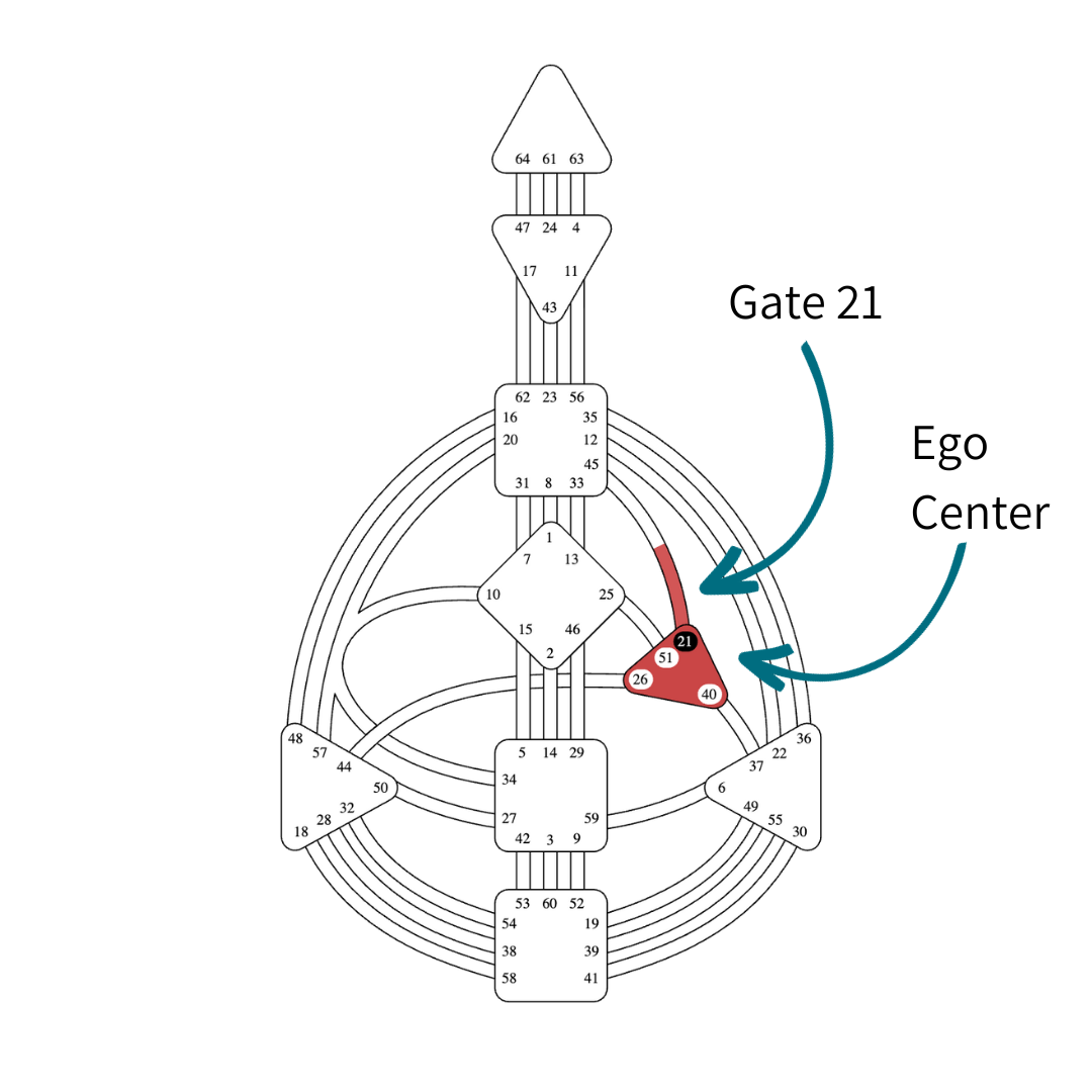 Human Design Gate 21 Gene Key 21 Control Vickie Dickson