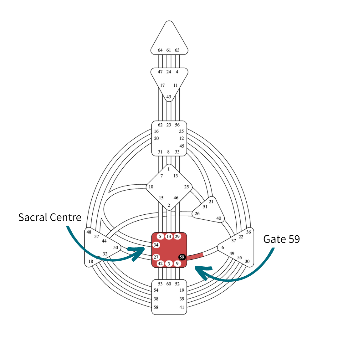 Human Design Gate 59 Gene Key 59 Dispersion Vickie Dickson