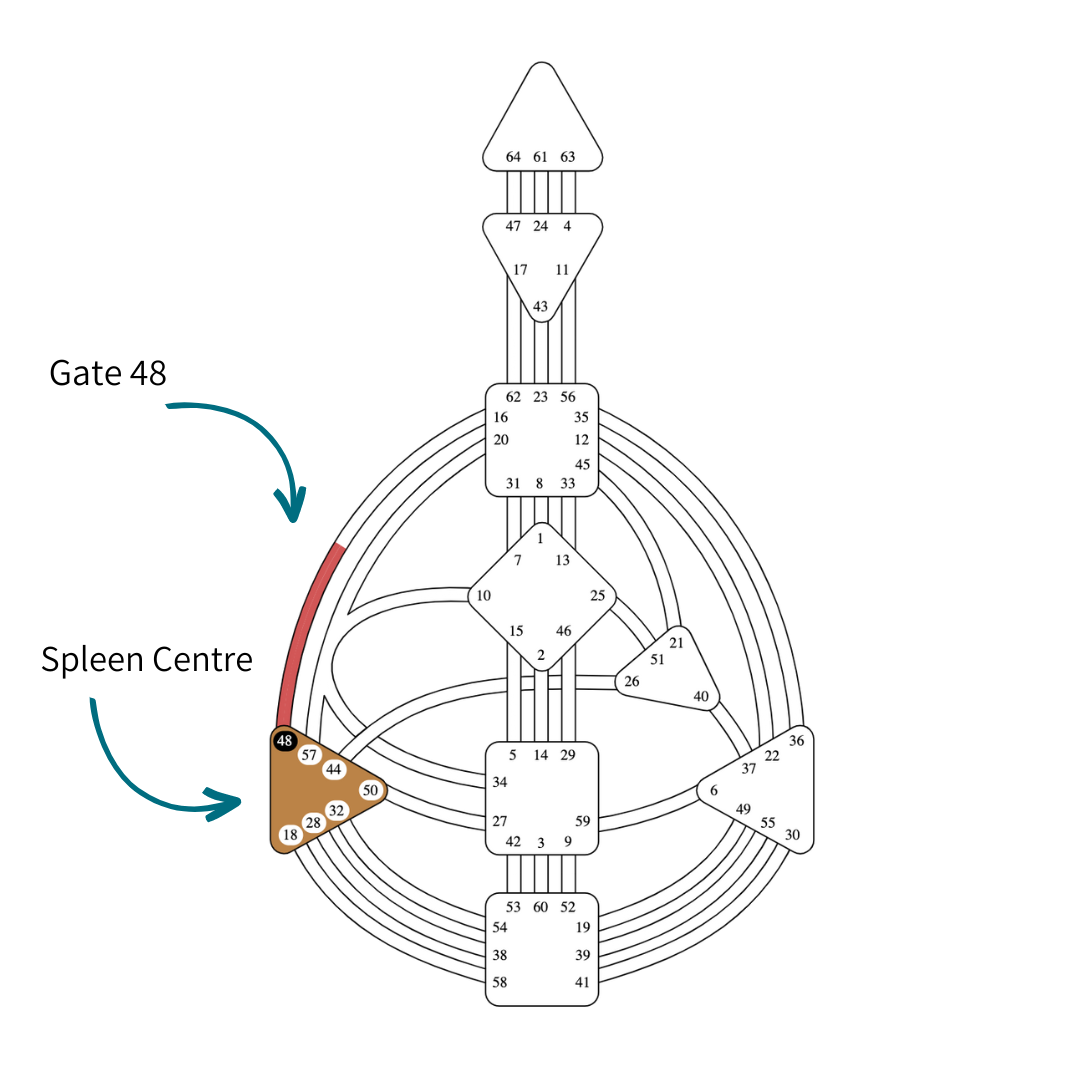 Human Design Gate 48 Gene Key 48 Depth Vickie Dickson