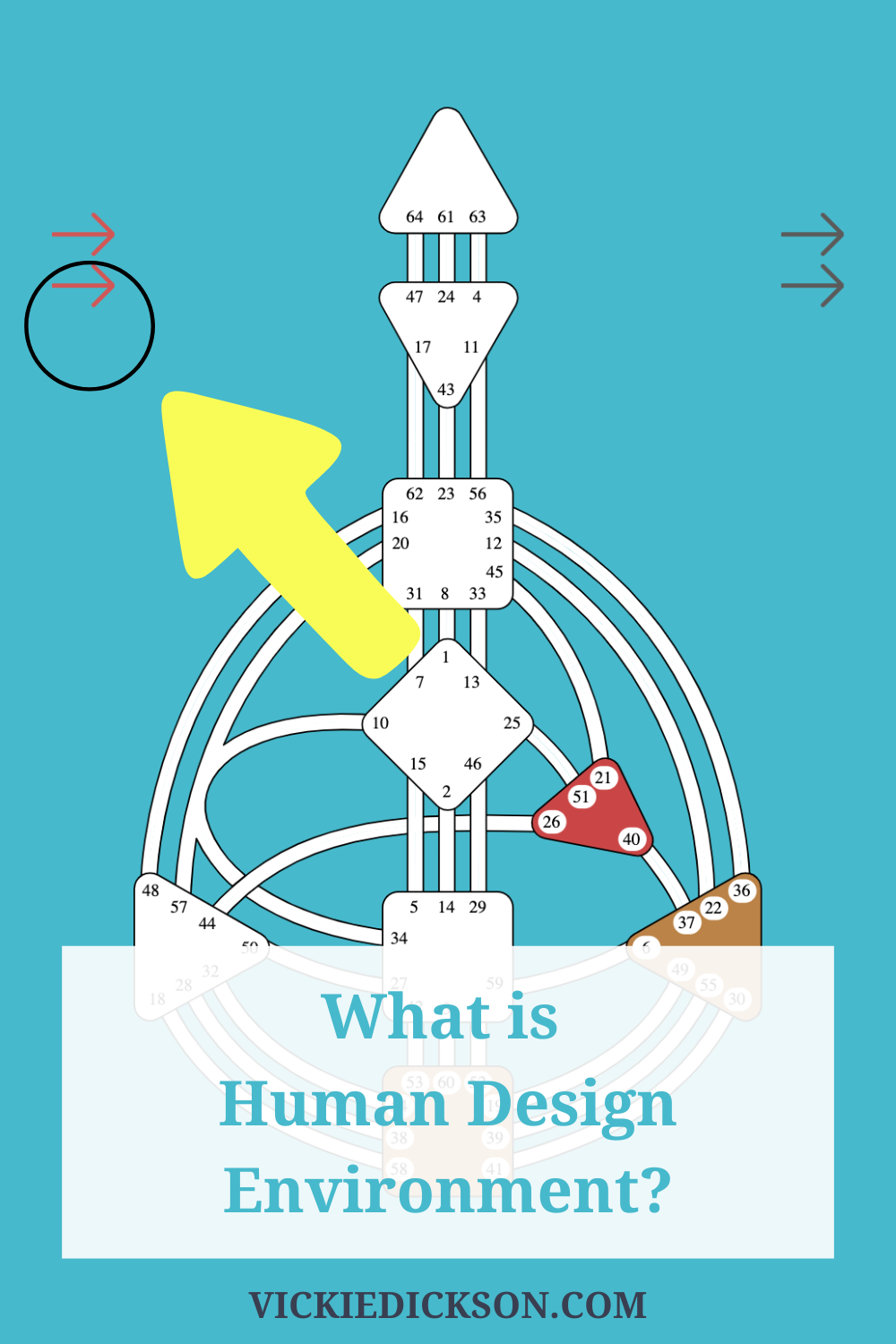 What is Human Design Environment? - Vickie Dickson